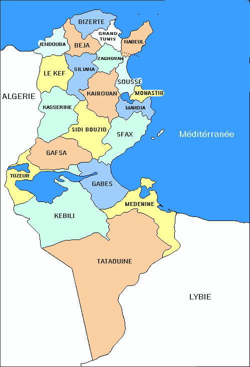 Déséquilibres régionaux et inégalités sociales en Tunisie