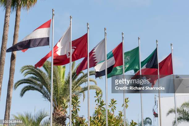 دول الخليج العربية ومحور «شرق-شرق» للنفط في العالم انتقال إلى أين؟